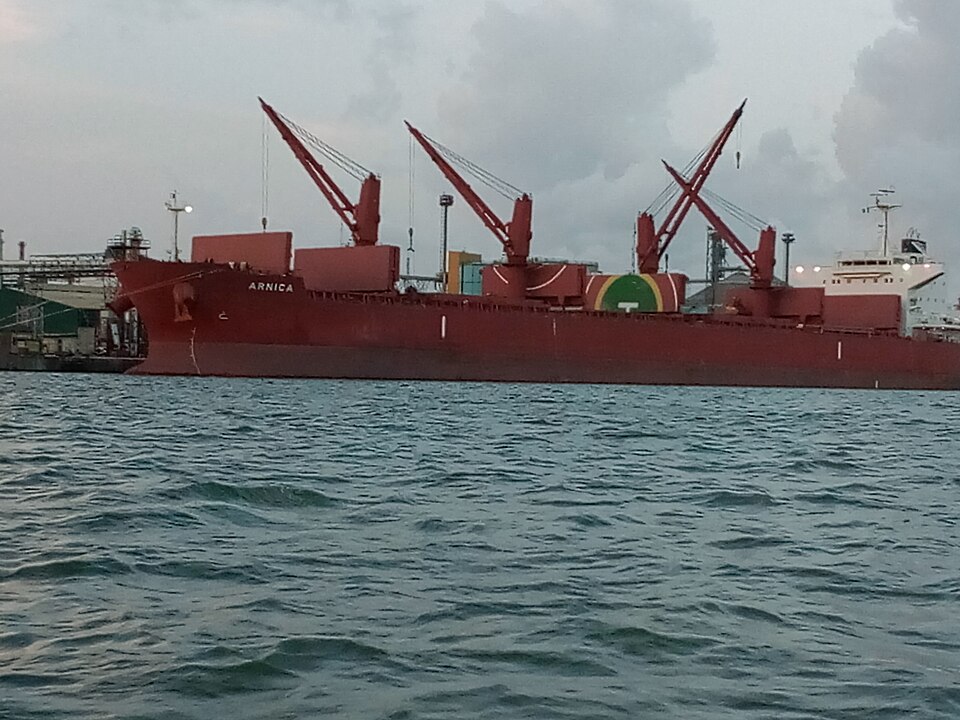 Cargo inspection at the quay